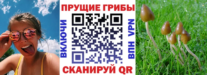 shop как зайти  Трёхгорный  Галлюциногенные грибы мухоморы 